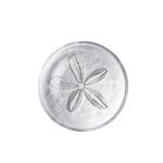 Hazdev Plate Sand Dollar Festive Seaside Inspired Ceramic Dish - Image 2