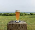 Hazdev Ale Glass Classic Bowl Amber Aromatics Enhancer - Image 2