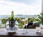 Hazdev Champagne Flute Bristol Golden Ratio Inspired Handblown Stem - Image 3