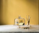 Hazdev Cake Dome Hartland Globe Stem Medium Glass Cover Piece - Image 4
